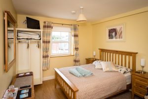 The Henry Ford Suite- Double Room